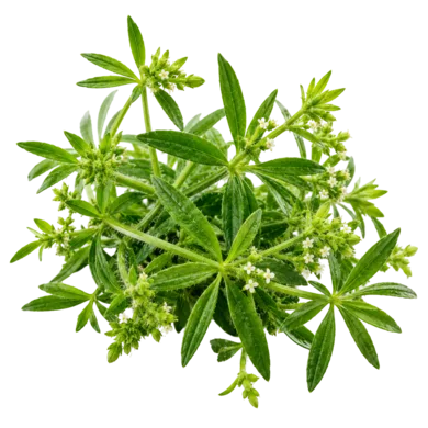 Cleavers