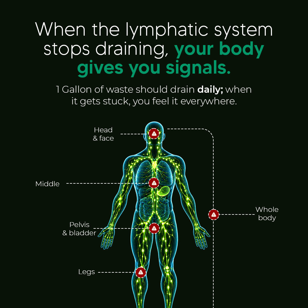 New Maximum Potency Formula - Lymphatic Drainage Capsules by Sculptique™