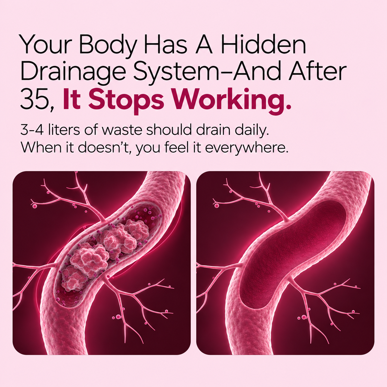 Enzymes, Herbs & Electrolytes Debloat Drink by Sculptique -  Wild Berry Rush Flavor
