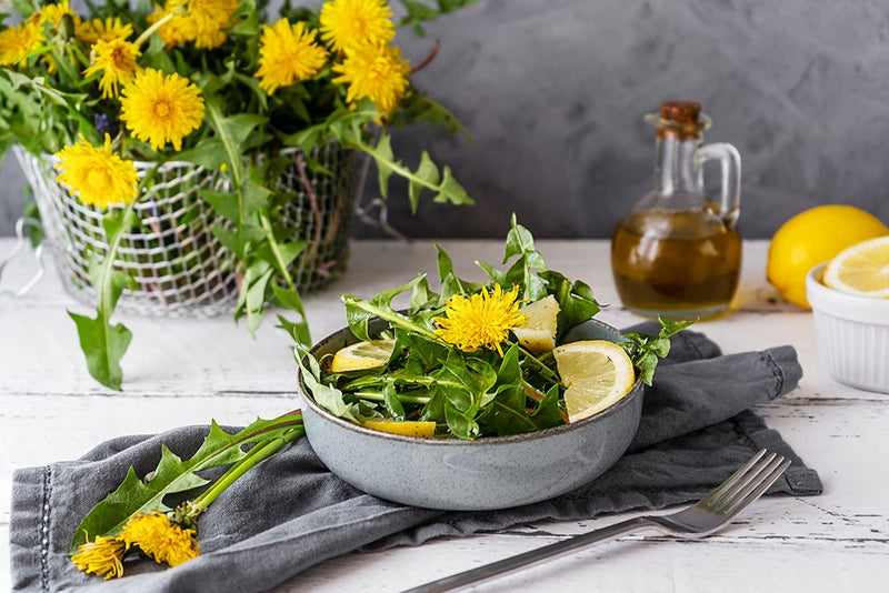 Dandelion Extract